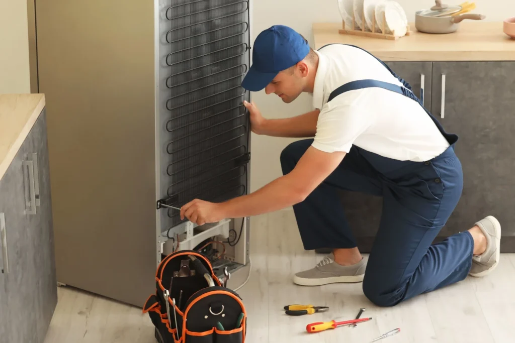 نمایندگی یخچال اسنوا در پرند